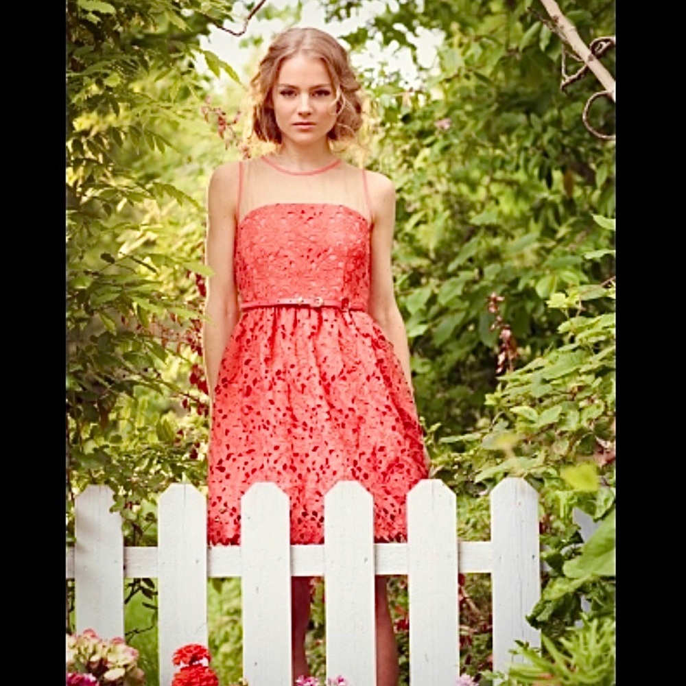 Darling Coral 'Sienna' Lace Dress - Picture 5 of 13